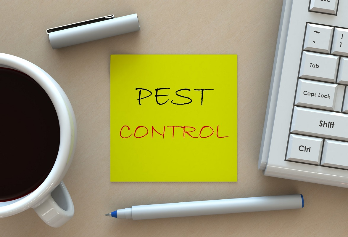 finding a pest control company