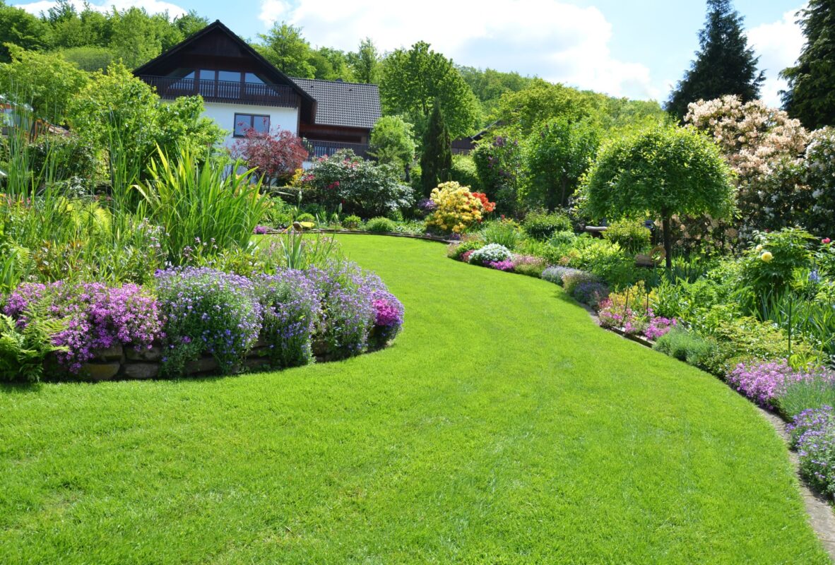 Curb appeal can help you sell your house but there's only so much you can do to the actual structure. Check out these curb appeal plants for an added bonus!