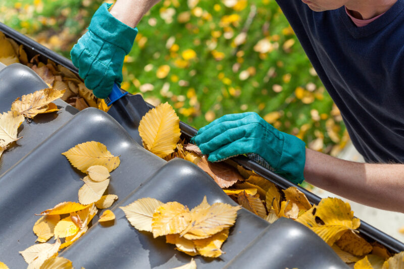 How often should you clean your gutters? This is a question many people ask. Luckily, our guide here will help you take care of your gutters.
